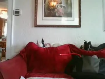 dears_pearlss – webcam model profile photo Image 4