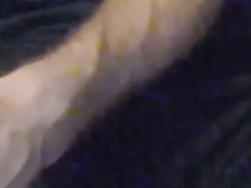 PabloArena – webcam model profile photo Image 16