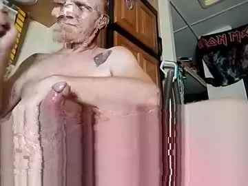 hgingerpro Image 2