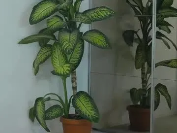 loving_ladies – webcam model profile photo Image 2