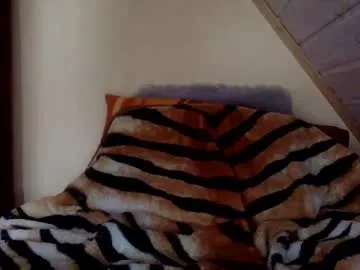 stargroup – webcam model profile photo Image 13