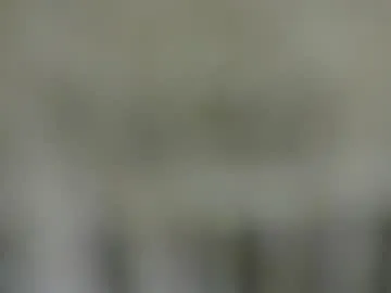 riley_sanders – webcam model profile photo Image 18