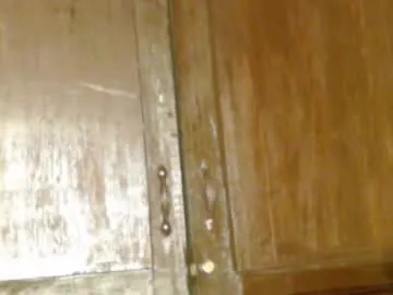 ShaiyaShy – webcam model profile photo Image 19