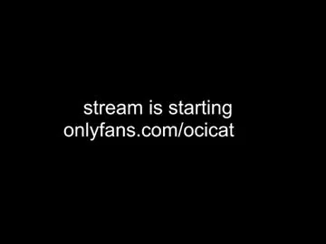 ocicat Image 7