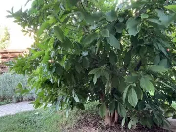 VeryNiceGuy – webcam model profile photo Image 11