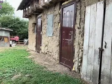 VeryNiceGuy – webcam model profile photo Image 4