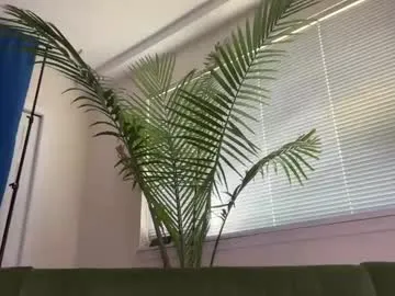 therealveggieboy Image 5