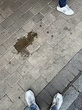 hornyshow_tv – webcam model profile photo Image 19