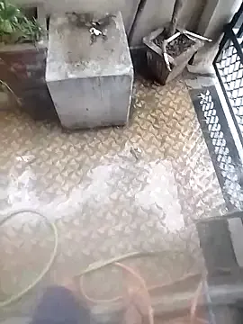 DomManlyGuy – webcam model profile photo Image 11