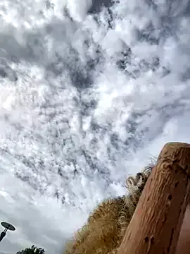 PerfectPage – webcam model profile photo Image 14