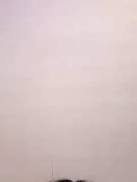 tanishamunshi – webcam model profile photo Image 7