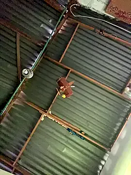 someone_sweet – webcam model profile photo Image 10