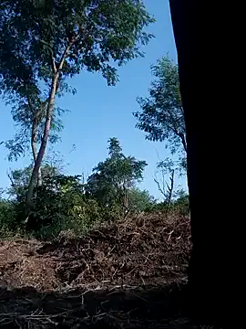 dears_pearlss – webcam model profile photo Image 13