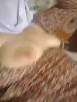 dears_pearlss – webcam model profile photo Image 4