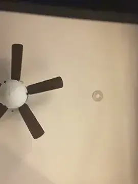 shyredstar – webcam model profile photo Image 17