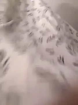 kaliana_ggh – webcam model profile photo Image 16