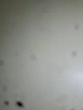 dears_pearlss – webcam model profile photo Image 15