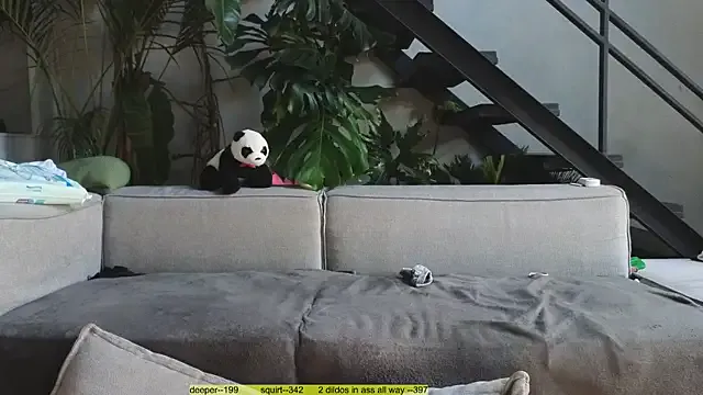 MeFoxyShy – webcam model profile photo Image 15