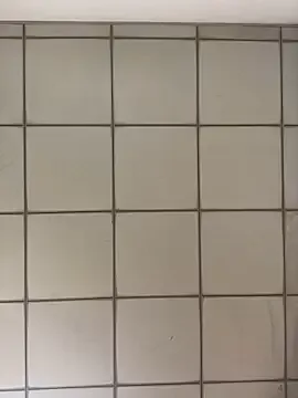 dears_pearlss – webcam model profile photo Image 16