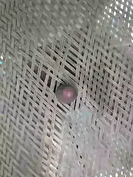 Lovingsol – webcam model profile photo