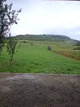 dears_pearlss – webcam model profile photo Image 2