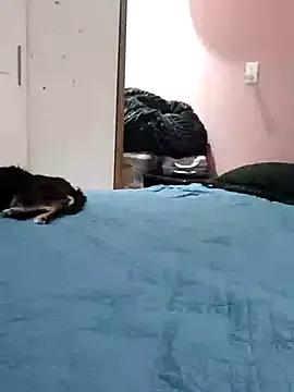 alorianna – webcam model profile photo Image 7