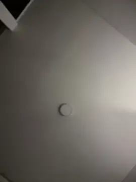 sundayferrigno – webcam model profile photo Image 10