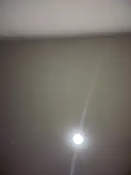 sundayferrigno – webcam model profile photo Image 18