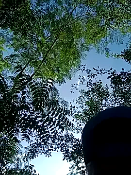 outdoors11 Image 11