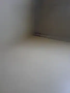 Diegoarctic – webcam model profile photo Image 15