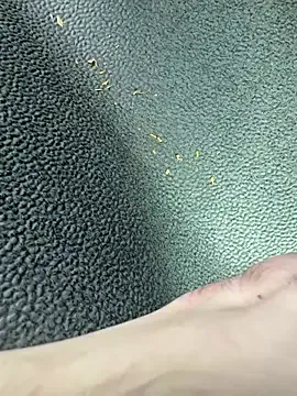 chinsemechan – webcam model profile photo Image 10