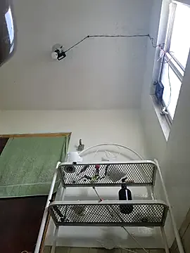 dears_pearlss – webcam model profile photo Image 3