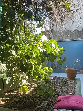 dears_pearlss – webcam model profile photo Image 9