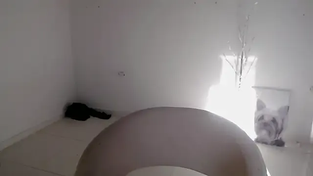 chinsemechan – webcam model profile photo Image 18