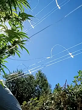 PabloArena – webcam model profile photo Image 16