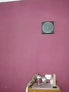 dears_pearlss – webcam model profile photo Image 2