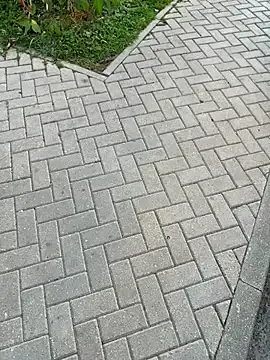 bisexualmilf – webcam model profile photo Image 18