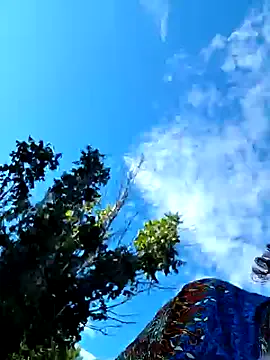 kai101010 – webcam model profile photo Image 17