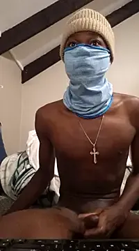 Venda-boi Image 2