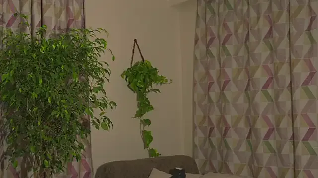 dears_pearlss – webcam model profile photo Image 10