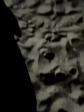 dirtypub – webcam model profile photo Image 12